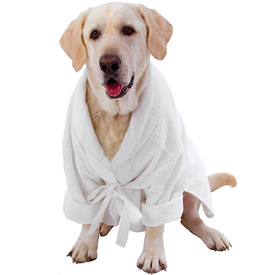 Luxury Robes for Puppy Friendly Hotels