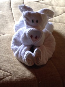 Towel Animals and Folds - Boca Terry