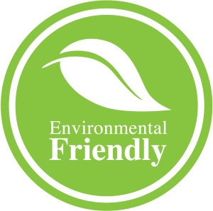 Environmentally Friendly Hotel Initiatives 